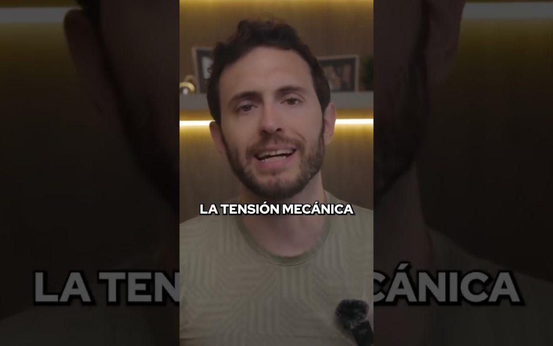 Recuperación Muscular: la Clave del éxito